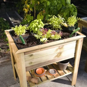 Finale Uitverkoop Verhoogde Moestuintafel Grenen Geimpregneerd 85 x 60 x 82 cm