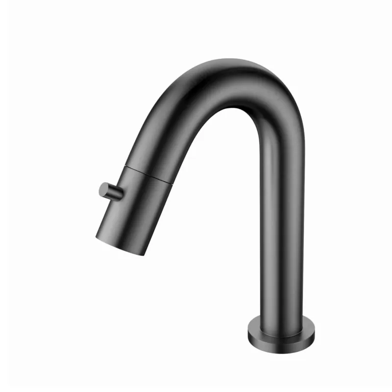 Seizoensaanbieding Fonteinkraan AquaSplash Colorato 19.5 cm Gunmetal