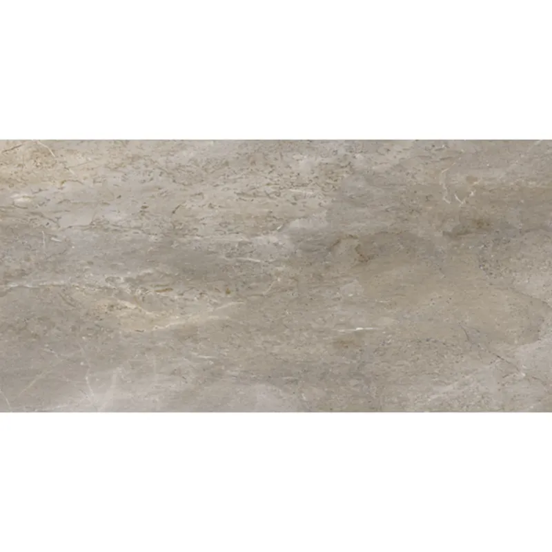 Favoriet Vloertegel Porcelaingres Royal Stone 60x120 cm Mat Grijs (Prijs Per M2)