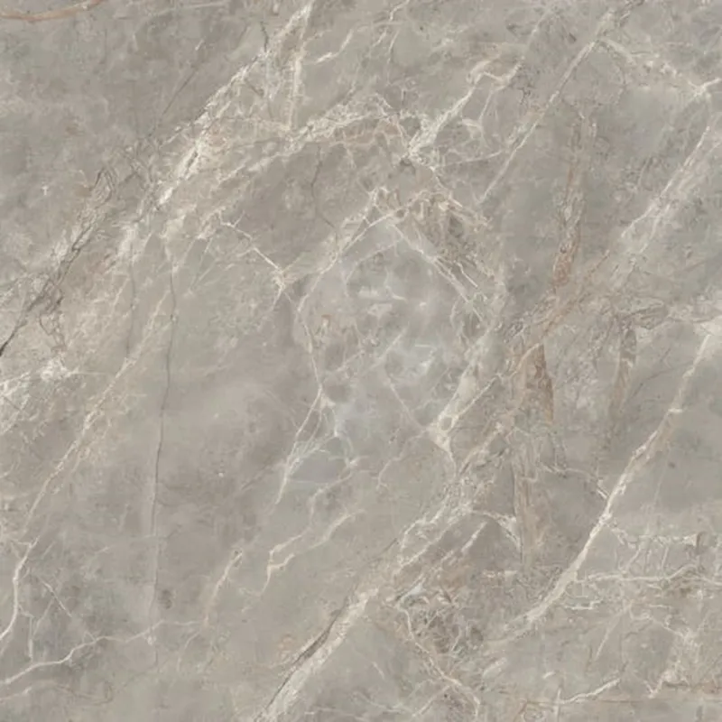 Merkproduct Vloertegel Douglas & Jones Magnum 120x120 cm Marmerlook Gerectificeerd 6 mm Mat Gris (prijs per m2)