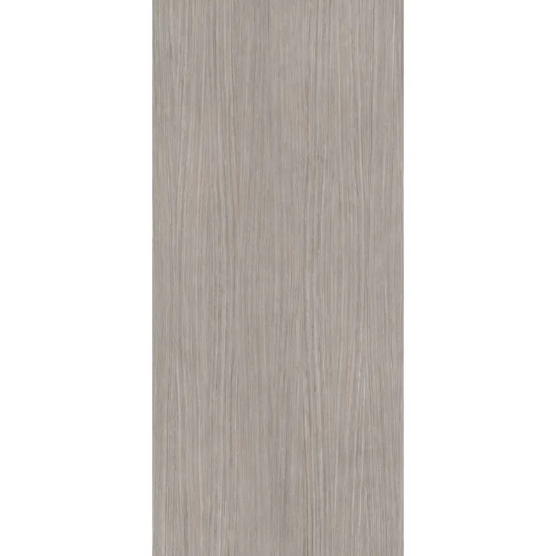 Vloertegel Douglas & Jones 120x280 cm Magnum Plank 5 (Prijs per M2) Populair