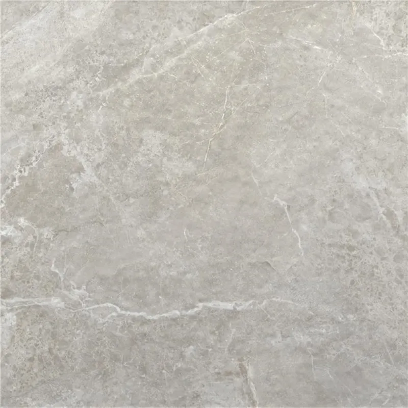 Tijdelijk Beschikbaar Vloertegel Alaplana P.E.Tenby Slipstop Grey 60x60 cm Grijs (doosinhoud 1.44m2) (prijs per m2)