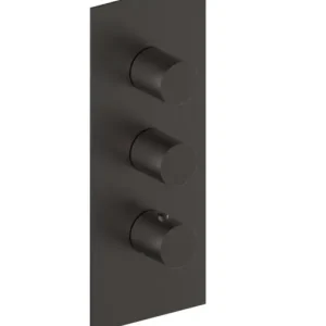 Plieger Monza afbouwdeel voor inbouw douchekraan 2-wegs gunmetal geborsteld Must-Have