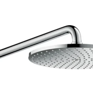Lage Kosten Hansgrohe Raindance S hoofddouche 24cm met wandarm chroom