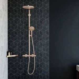 Hansgrohe Raindance Select S opbouw regendouche met 24cm hoofddouche brons geborsteld Rechtstreeks Van De Fabrikant