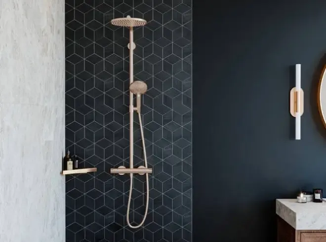 Hansgrohe Raindance Select S opbouw regendouche met 24cm hoofddouche brons geborsteld Rechtstreeks Van De Fabrikant