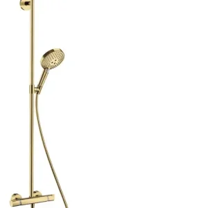 Hansgrohe Raindance Select S opbouw regendouche met 24cm hoofddouche goud gepolijst Shop Nu