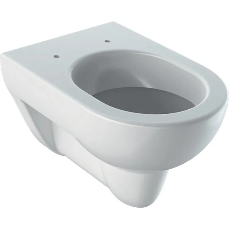 Gecertificeerd Geberit Renova hangend toilet diepspoel wit glans