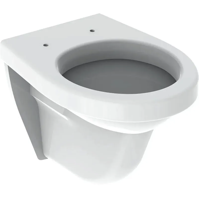 Geberit 300 Basic 48 hangend toilet wit glans Beperkt Aanbod