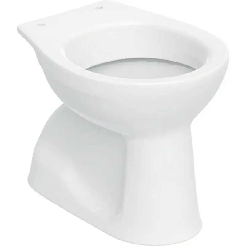 Geberit Bastia staand vlakspoel toilet AO wit glans Hoge Kwaliteit