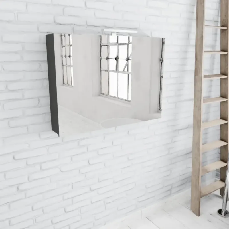 Zaro Beam antraciet spiegelkast 100x70x16cm 2 deuren Betaalbaar