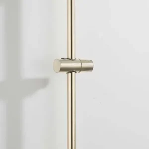 Uitverkoop Saniclear Plus douche glijstang 60cm geborsteld messing mat goud